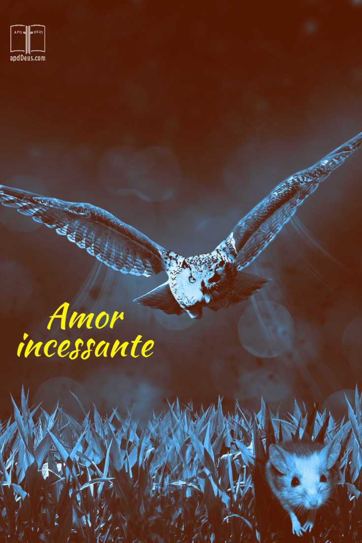 Uma coruja persegue implacavelmente um rato do campo através da grama. O amor de Deus é implacável assim.