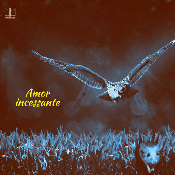 O amor de Deus o perseguia incansavelmente, e não importava para Ele o quanto doesse ou custasse a Ele. Você não se voltará para o Seu amor?
#amorimplacavel #apdd #apalavradedeus #amordedeus Uma coruja persegue implacavelmente um rato do campo através da grama. O amor de Deus é implacável assim.