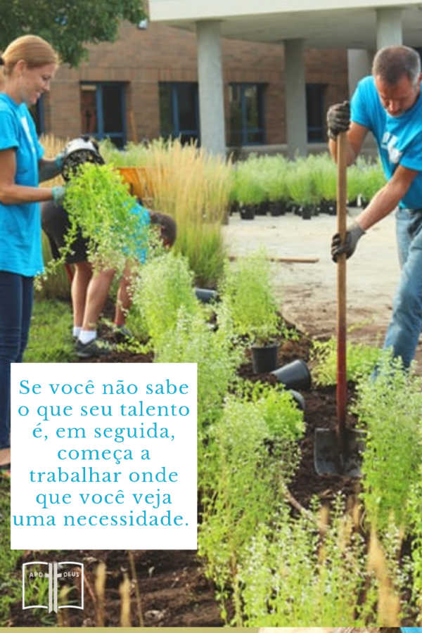 Um grupo trabalha em conjunto para plantar um jardim. Um pás a terra, outro coloca a planta no buraco, enquanto outro rega a planta. Cada pessoa tem seu próprio trabalho.