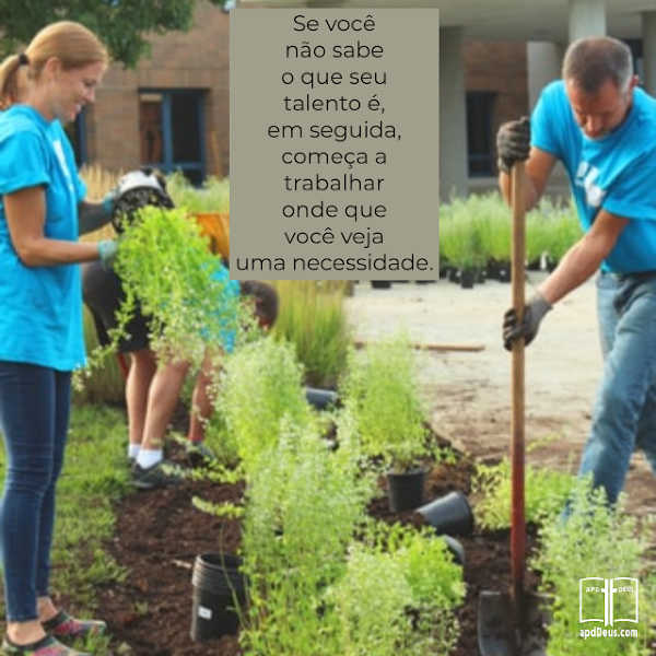 Um grupo trabalha em conjunto para plantar um jardim. Um pás a terra, outro coloca a planta no buraco, enquanto outro rega a planta. Cada pessoa tem seu próprio trabalho.
