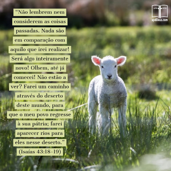 Deus está prestes a fazer algo tão novo e diferente, que você nem acreditará no começo. #apdd #deusaindanaoterminou Um cordeiro. “Não lembrem nem considerem as coisas passadas. Nada são em comparação com aquilo que irei realizar! Será algo inteiramente novo...Farei um caminho através do deserto.” (Isaías 43:18-19)