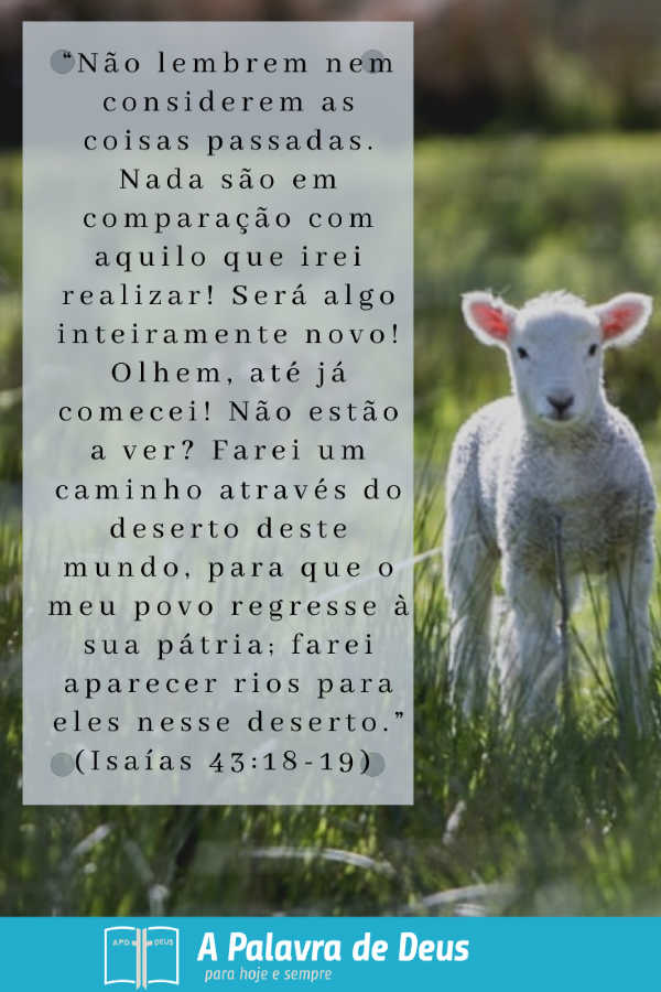 Um cordeiro. “Não lembrem nem considerem as coisas passadas. Nada são em comparação com aquilo que irei realizar! Será algo inteiramente novo...Farei um caminho através do deserto.” (Isaías 43:18-19)