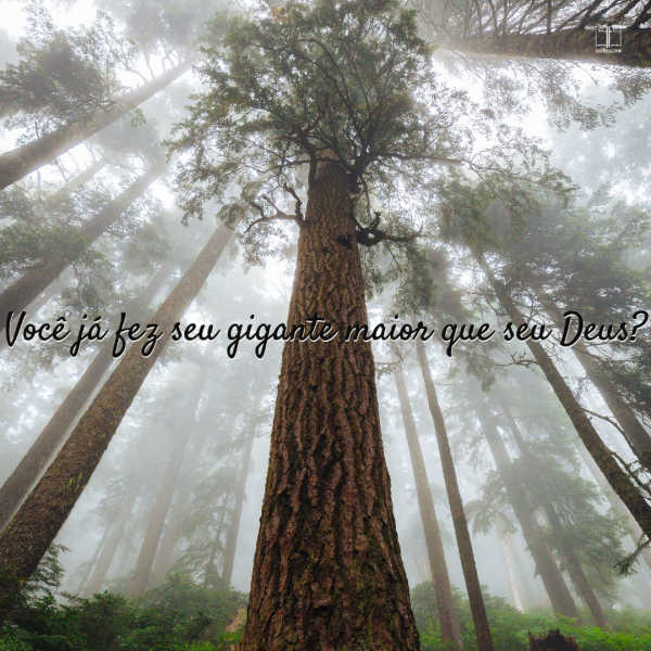 Olhando para cima de uma grande árvore elevando-se sobre o solo. Deus é maior que seus gigantes?