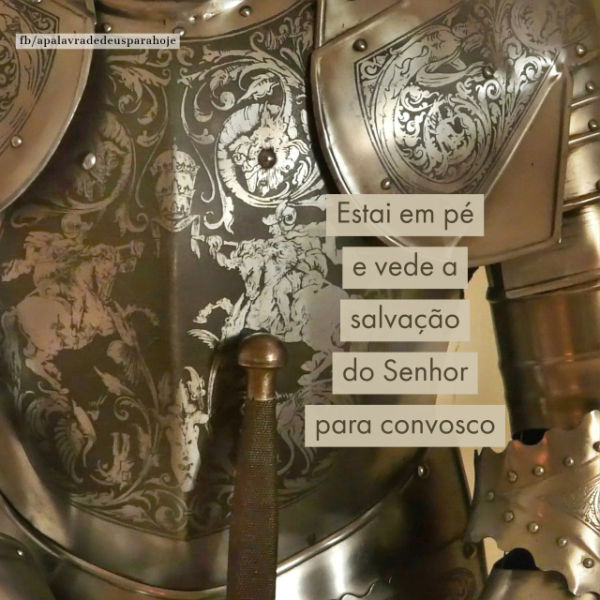 Efésios 6:13 (ARC): Portanto, tomai toda a armadura de Deus, para que possais resistir no dia mau e, havendo feito tudo, ficar firmes.
#batalhaespiritual #batalhanaoevossa #apalavradedeus #apdd Um poderoso guerreiro se levanta e vê a salvação de Deus.