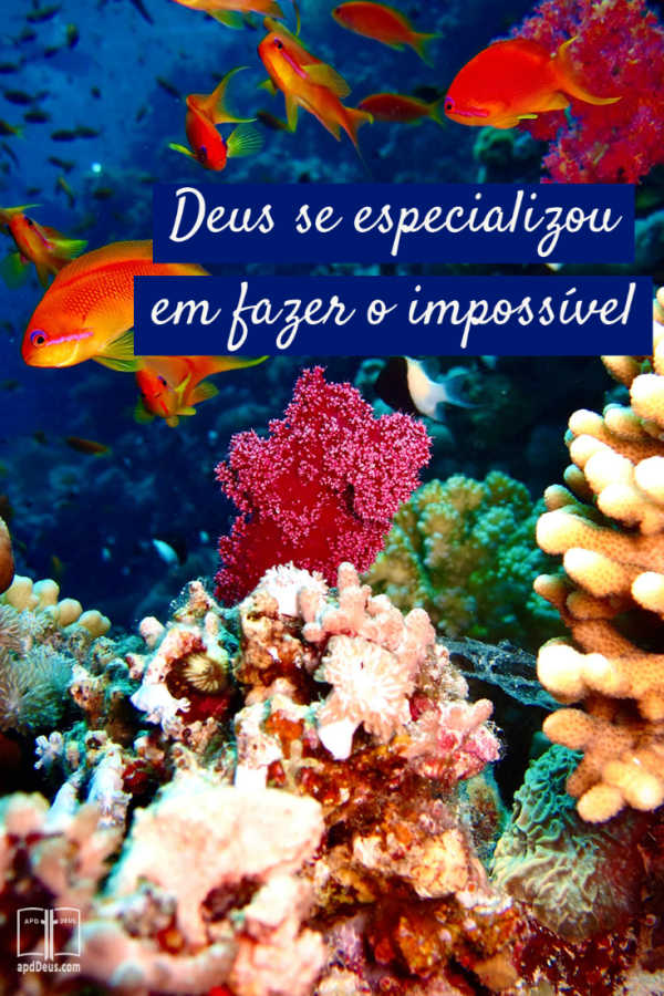 Uma cena subaquática de peixes coloridos contra o pano de fundo de água azul e curral rosa. Deus é capaz de fazer o impossível.