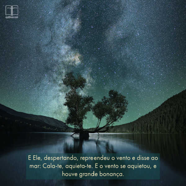 Um céu estrelado noturno se reflete nas águas calmas. Paz, Silêncio.