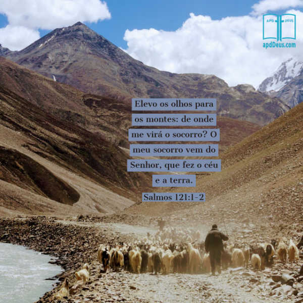 De onde você espera sua ajuda? Deus é sua fonte de ajuda?
#ajudadedeus #apalavradedeus #apdd #ogiganteasuafrente Um pastor escoltando suas ovelhas através de um vale rochoso. Elevo os olhos para os montes: de onde me virá o socorro? O meu socorro vem do Senhor, que fez o céu e a terra.(Salmos 121:1-2)