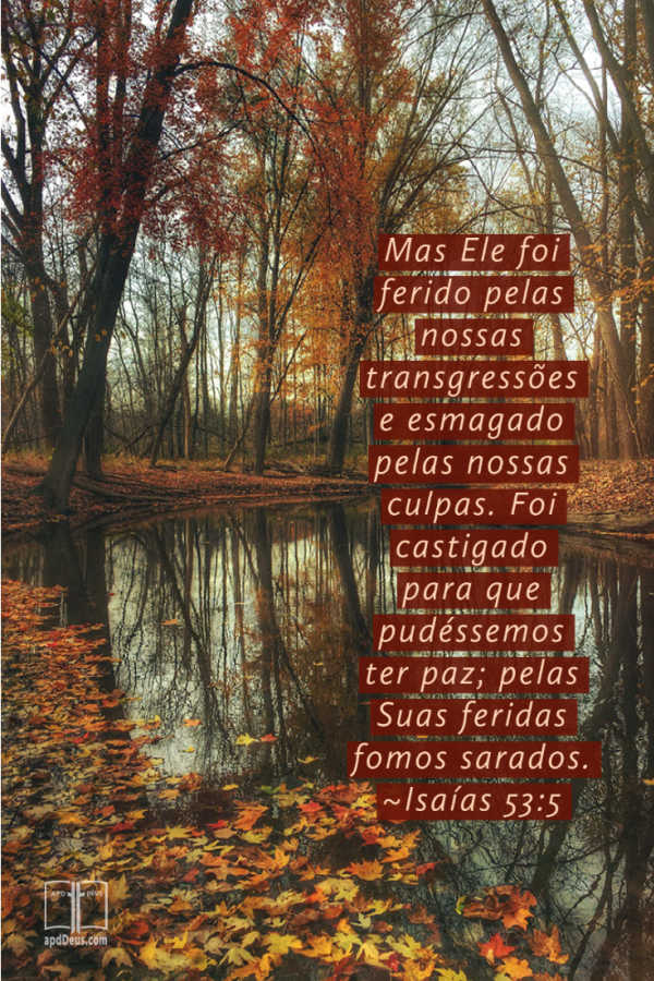 Árvores com folhagem de outono cercam um lago calmo. As palavras de Isaías 53:5 nos encorajam a que pelas feridas de Jesus sejamos curados.