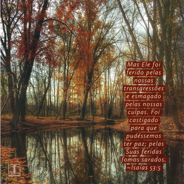Árvores com folhagem de outono cercam um lago calmo. As palavras de Isaías 53:5 nos encorajam a que pelas feridas de Jesus sejamos curados.