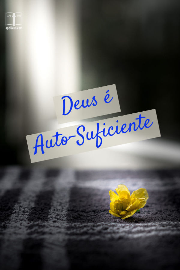 Uma pequena flor amarela floresce sozinha. Deus é auto-suficiente.