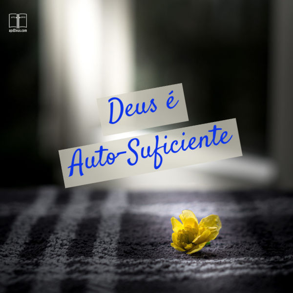 Ser auto-suficiente significa ser capaz de manter-se sem qualquer ajuda externa. Deus é capaz de cuidar de si mesmo sem qualquer ajuda de nós! #DeusNaCasa #apdd Uma pequena flor amarela floresce sozinha. Deus é auto-suficiente.