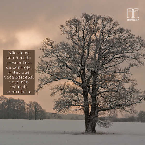 Uma majestosa árvore coberta de neve enche a paisagem. Não deixe seu pecado crescer fora de controle. Antes que você perceba, você não vai mais controlá-lo.