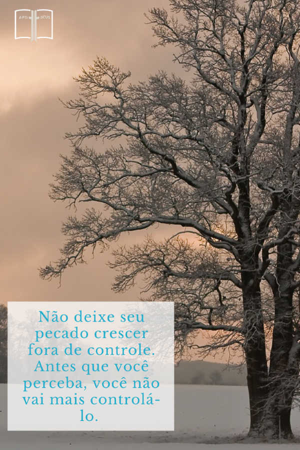 Uma majestosa árvore coberta de neve enche a paisagem. Não deixe seu pecado crescer fora de controle. Antes que você perceba, você não vai mais controlá-lo.
