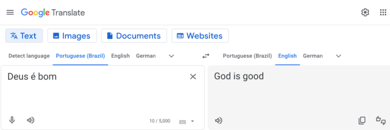 Google Translate Function Google Translate Function