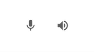 Google Translate Function speaker Google Translate Function speaker